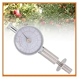 LLGTFQ B0GVDSB6HT lato 2