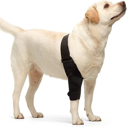 Dog Knee Brace for Torn acl Leg -Upgraded Anti-Slip, Support for Cruciate Ligament Injury, Arthritis, Joint Pain, Muscle Sore, CCL Brace (L)