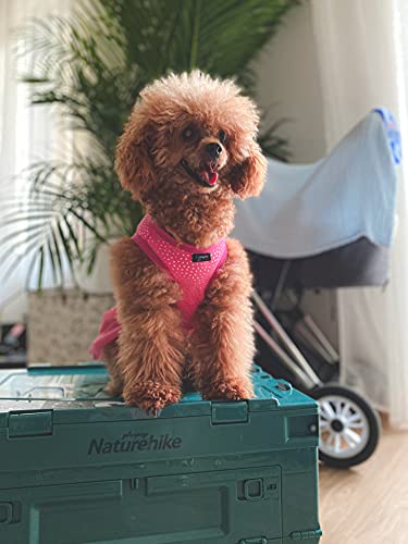 Ollypet Dog Shirt Girl Puppy Apparel Funky White Polka Triangle Print Costume Cute Pink Tutu Sleeveless Round Neck Pet Dress Adorable Summer Outfits For Pet Mommy Cotton Blend Comfortable Dress (S) #TOP2