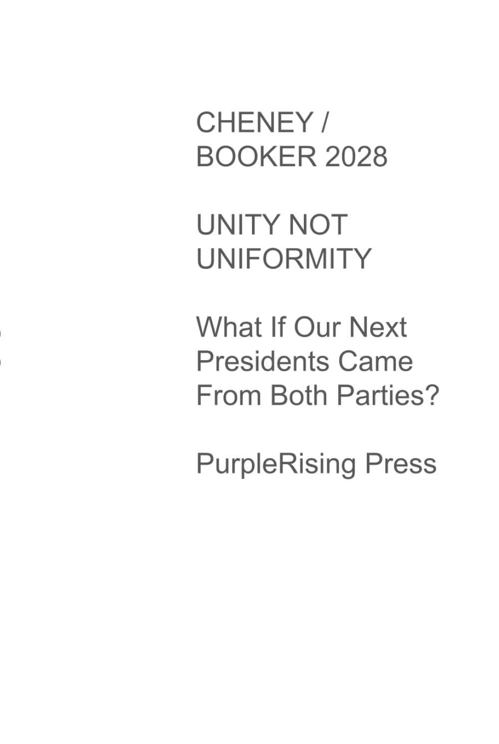 Cheney/Booker 2028: Unity Not Uniformity: What If Our Next Presidents Came from Both Parties?