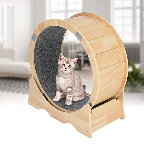 Cat Running Wheel, Cat Exercise Wheel Treadmill With Carpeted Runway, Fitness Weight Loss Device Cute Cat Furniture, Pet Toy, Cat Toy (Small) #TOP6