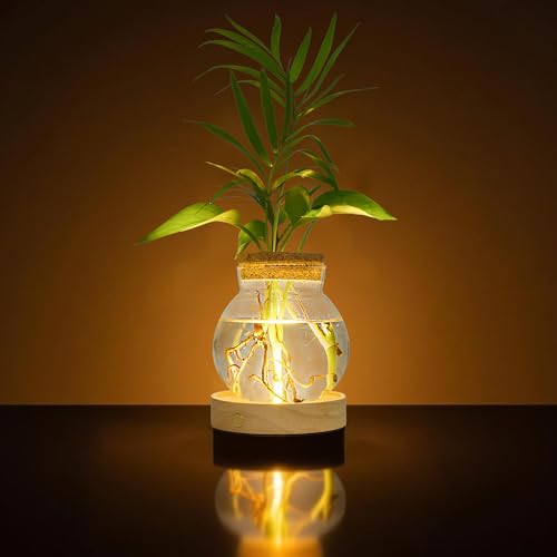 Everkeen Plant Propagation Station with Light, Valentines Day Glass Terrarium with Stepless Dimming Function Hydroponic Glass Container Vase Jars Gardening Gifts for Mom Women Plant Lovers
