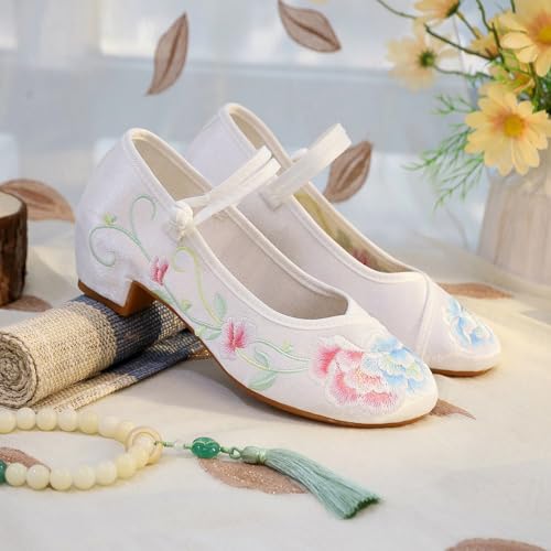 2025 Women's Chinese Style Floral Embroidery Ankle Strap Shoes Elegant Low Chunky Heel Cheongsam Hanfu Shoes Casual Comfort Stage Show Mary Jane Shoes2