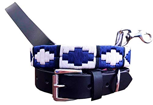 Collier de polo Carlos Diaz en cuir véritable brodé taille L avec laisse