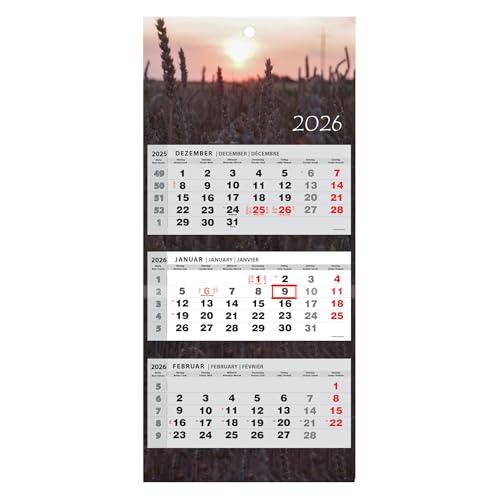 JAROGRAF Wandkalender 2026 – 3-Monats-Kalender mit praktischem Wandplaner für effiziente