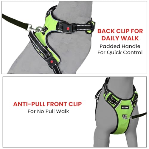 Image of No Pull Dog Chest Belt Harness, Comfortable & Adjustable Size for 14-23 Kg Pet (Green, Medium)