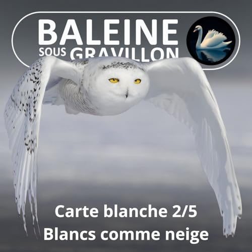 S05Exx Carte blanche 2/5 : Blancs comme neige
