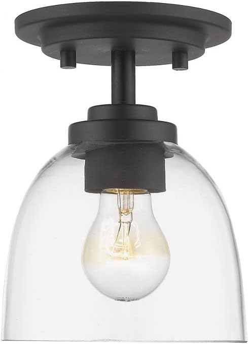 Z-Lite 460F1-BRZ 1 Light Flush Mount, Bronze