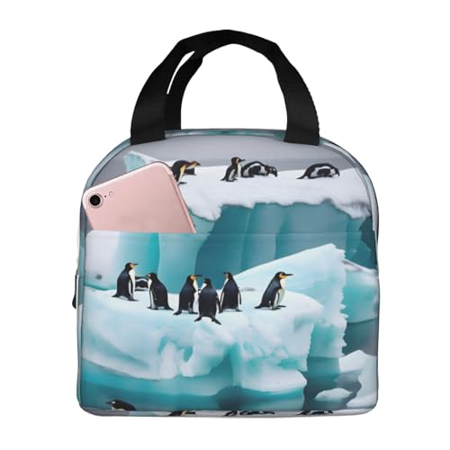 Penguins On The Iceberg�v�����g�f�M �ė��p�\ �f�M �d�� ���s
