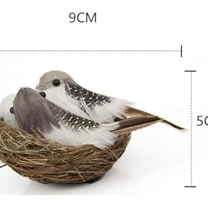Rattan Bird Nest Decor Set with Artificial Birds and Eggs Weather Resistant Garden and Home Decoration for Christmas Thanksgiving and Seasonal Displays 1 Nest 2 Birds 1 Egg