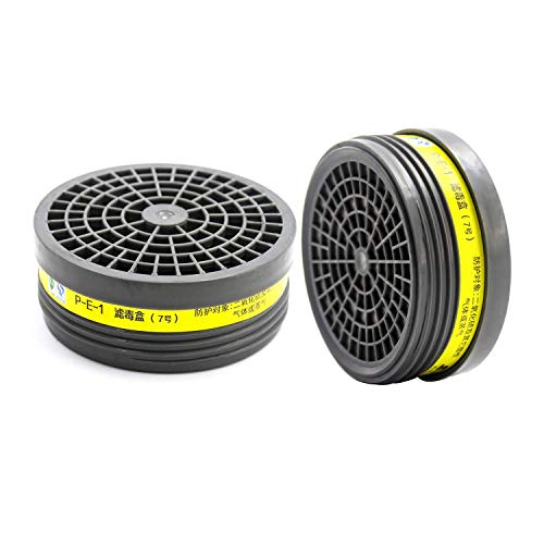 Un par de anti-olor, anti-orgánico e inorgánico, amoníaco, gas ácido, cartucho anti-virus (ST-LDY7)