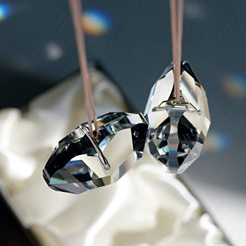Goldenhaitai Clear Heart Crystal Suncatcher, 2Pc 45Mm Hanging Prism For Windows, Outdoor Indoor Decoration, Rainbow Maker Gifts For Mom, Grandma, Friend #TOP1