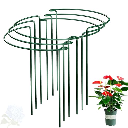 WooWellGoGoGo Half Round Snake Plant Support Stakes Plant Ring for Peonies Hydrangeas ZZ and More - Sturdy Rust-Proof Plant Support Cages for Indoor and Outdoor Potted Plants (6 Pack 14x8Inch)