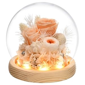 Valentines Gifts for Her Preserved Real Rose in Glass Dome with LED Light Gifts Idea for Women Wife Mom Grandma on Anniversary Birthday Mothers Day Thanksgiving Christmas Sweet Gifts