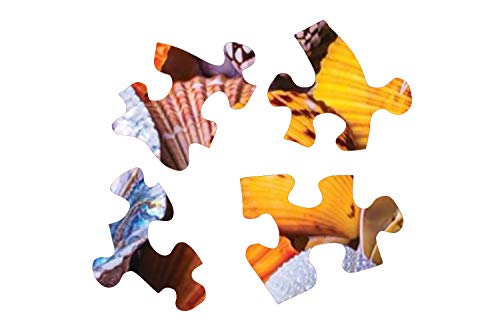 Springbok's 350 Piece Jigsaw Puzzle Vacation Treasure - Made In Usa #TOP2