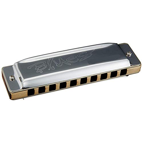 KIRANDIE Harmonica diatonique 10 Trous 20 Notes Blues Harp Key C Acier Inoxydable Instruments de Musique (Color : Key F) - Les Beatles, Paul McCartney, John Lennon, RIngo Starr, George Harrison KIRANDIE Harmonica diatonique 10 Trous 20 Notes Blues Harp Key C Acier Inoxydable Instruments de Musique (Color : Key F) – Image 3