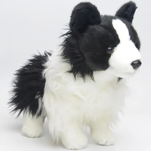 Peluche Border Collie le cadeau idéal pour garçons