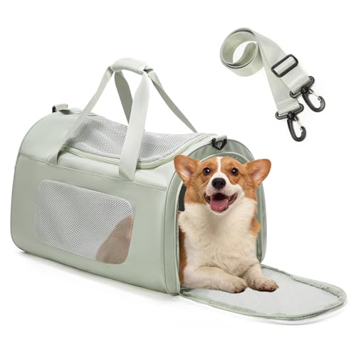 VENATIN Trasportino per gatti di grandi dimensioni e cuccioli fino a 13 kg，Trasportino per Animali Portatile, pieghevole, per il trasporto di gatti e cani,verde