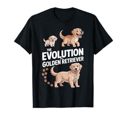 The Evolution of a Golden Retriever or Evolution of Dogs