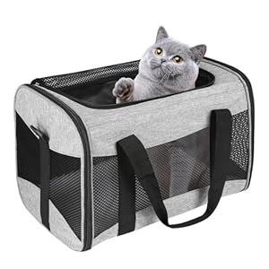 Cat Carrying Case – Pet Carrier Airline Approved, Protable and Breathable Pet Travel Carrier Removable Fleece Pad, Collapsible Cat Carrier Dog Carrier for Medium Cats Small Cats Dogs(15 * 10 * 10)