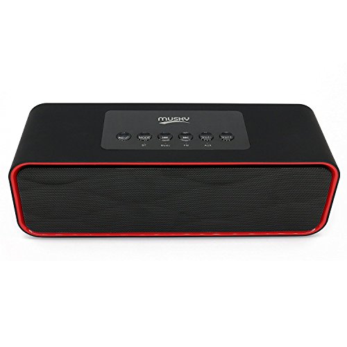 Portable Bluetooth Stereo Speaker, with 2x5W Acoustic Drivers, Dual Subwoofer, FM Radio, Handsfree Speakerphone, Slots for Micro SD Card, USB and AUX-in, for Smart Phone, MP3, MP4, iPad, Tablet