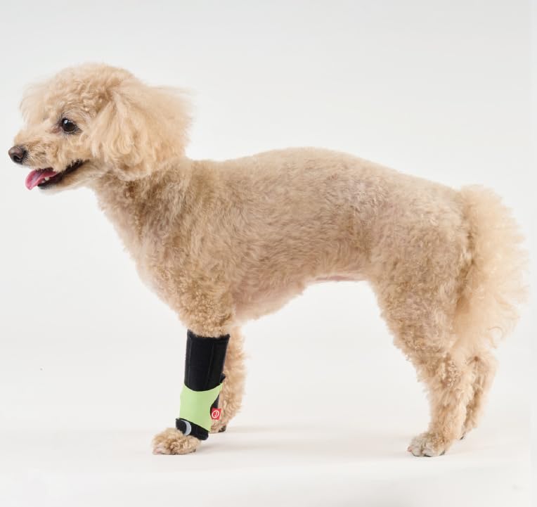 アニフル犬用手首サポーター 前両足2足セット Amazon.co.jp: 【anifull 公式】 アニサポ キック (手首・足首