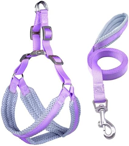 Small Dog Harness and Leash Set, No Pull Adjustable Puppy Harness for Small Dogs, Durable 6ft Dog Leash Breathable Dog Vest Harness for Cats Puppy Small Dogs Outdoor Training and Running