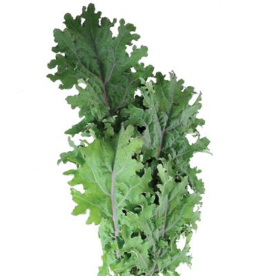 1 grammo Semi di Roulette Kale