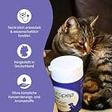 purapep Senior Power Pulver– 5-Fach Nährstoffkomplex mit Molkenprotein, Omega-3, Taurin & Vitaminen für Hunde & Katzen Senioren – Muskelaufbau & Fitness-Booster im Alter – 100 g