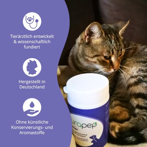 purapep Senior Power Pulver– 5-Fach Nährstoffkomplex mit Molkenprotein, Omega-3, Taurin & Vitaminen für Hunde & Katzen Senioren – Muskelaufbau & Fitness-Booster im Alter – 100 g