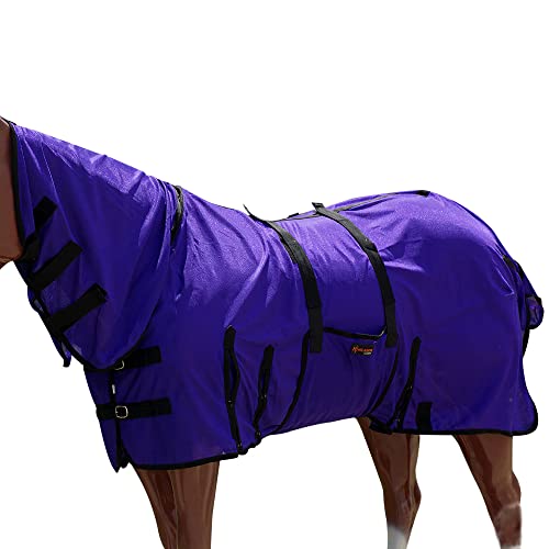 Image of HILASON Horse Fly Sheet UV Protect Breathable Mesh Bug Mosquito Spring | Summer Horse Rug | Fly Rug