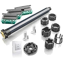 Somfy 2401530 - Kit de repuesto con motor de radio io 20 Nm para motor de persiana enrollable portaventanas