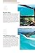 Lonely Planet Best of East Coast Australia 1 (Travel Guide)