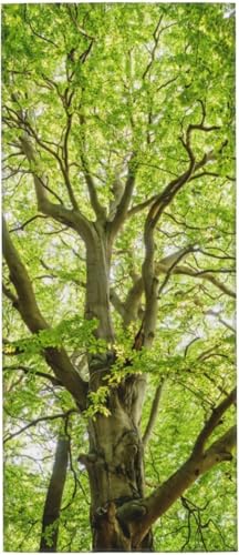 RiF   ^I tFCX^I }CNt@Co[ zedl ӂӂ _炩 nh^I z  oXpi v[g 12x27.5in