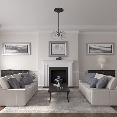 Ekena Millwork Cm20Vibps Vienna Ceiling Medallion, 20"Od X 3 1/2"Id X 1 1/2"P, Hand-Painted Black Pearl #TOP3