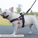 LiebeDD Hundegeschirr mit Leine für Mittelgroße Kleine Hunde Welpen, Bunt Farbblock Geschirr, Mesh Gepolstert Brustgeschirr Hund mit Griff und Brustring, Reflektierend & Leicht, Schwarzgrau, L