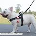 LiebeDD Hundegeschirr mit Leine für Mittelgroße Kleine Hunde Welpen, Bunt Farbblock Geschirr, Mesh Gepolstert Brustgeschirr Hund mit Griff und Brustring, Reflektierend & Leicht, Schwarzgrau, L