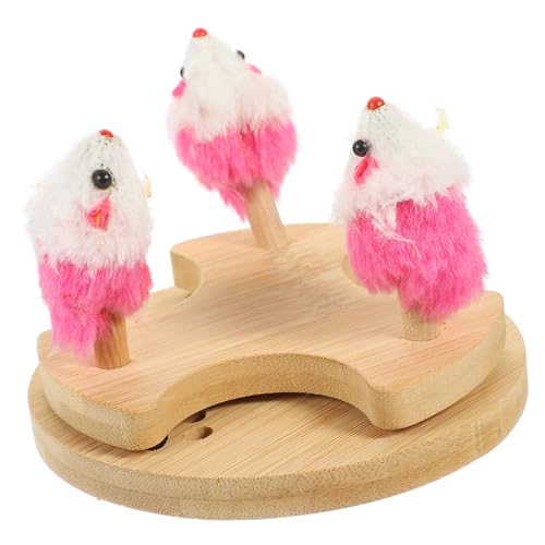 Healifty L̂WC^[e[u L̃ANZT[ J[L  _J[