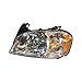 TYC 20-6620-00 Head Lamp