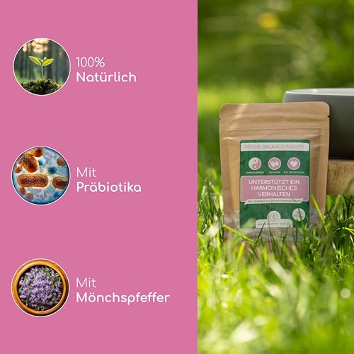 Wolfsbacher Natürliches Venus Balance Pulver für Hunde - Unterstützung bei Läufigkeit & Scheinschwangerschaft, mit Mönchspfeffer und Himbeerblättern