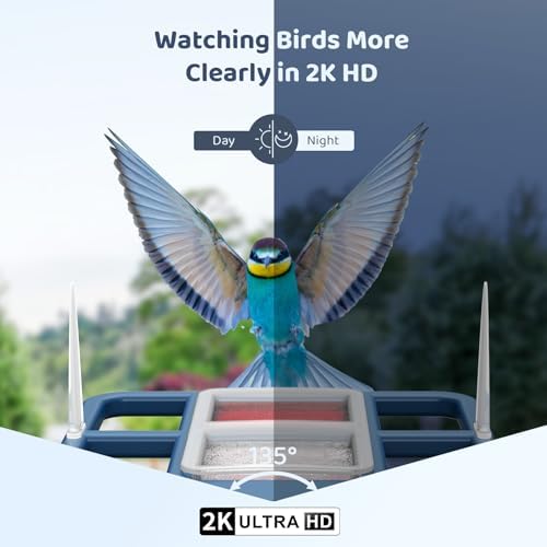 LIWAN Bird Feeder with Camera Solar Powered, 1 Year Trial AI Identify, 2K Live Video, Smart Bird Feeder Camera Wireless Outdoors, 2.4GHZ WiFi, Instant Arrival Alerts, Bird Lover Gifts - 4