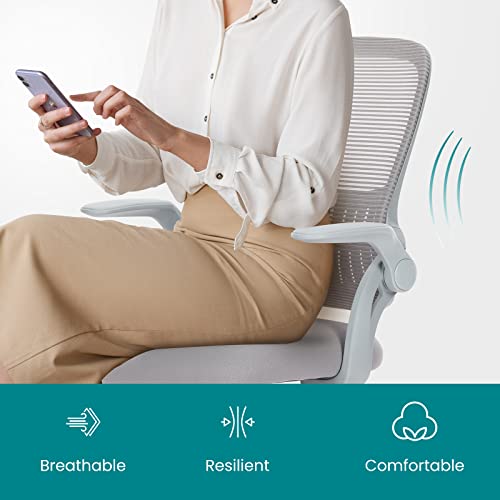 Image of DUMOS Office Computer Desk Chair, Ergonomic Mid-Back Mesh Rolling Work Swivel Task Chairs with Wheels, Comfortable Lumbar Support, Comfy Flip-up Arms for Home, Bedroom, Study, Student, Grey