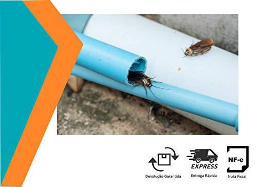 Kit com 2 Inseticida Mata Barata, Pulga e Formigas K-Othrine® em Pó - 100g