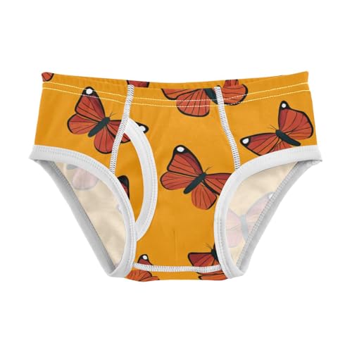 KLL Monarch Butterfly Boys Toddler Pure Cotton Briefs Underwear Cute Children Panties
