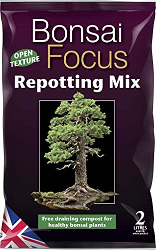 Growth Technology Focus Repotting Range Cactus, Citrus, Bonsai & Carnivorous (2L - Bonsai Focus Repotting Mix)