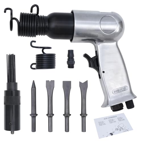 BHTOP Air Needle Scaler with 4 Chises, 19 Needles...