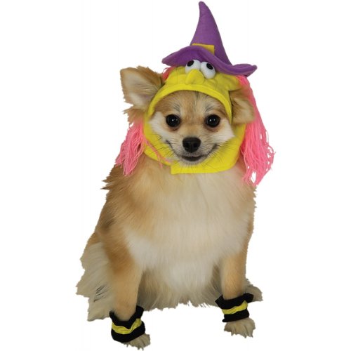 Disfraz de bruja para perro talla pequeña