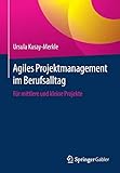 Agiles Projektmanagement im Berufsalltag: Für mittlere und kleine Projekte