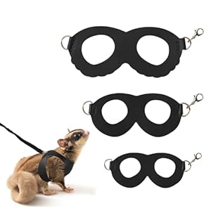 3Pcs Sugar Gilder Harness and Leash Set, Adjustable Squirrel Harness Small Animal Training Walking Vest for Rabbit, Guinea Pigs, Bearded Dragon (Black)