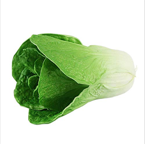 Zzooi Artificial High Simulation Chinese Cabbage Fake Celery Cabbage for Home Decor